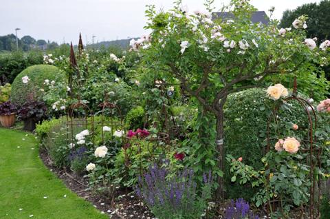 Rosen und Gartenaccessoires