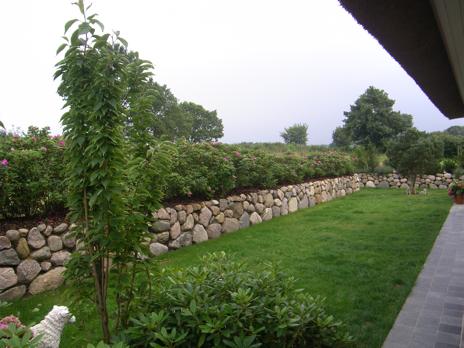 ‘Moje Hammarberg’, Wall