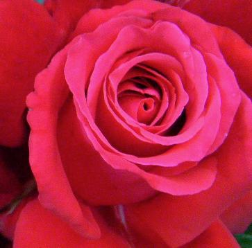 “Red Rain Miracle”