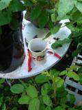 Tisch mit Rose, Rosenschere und einer Tasse Kaffee