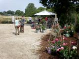 Stand von Rosa Rostig