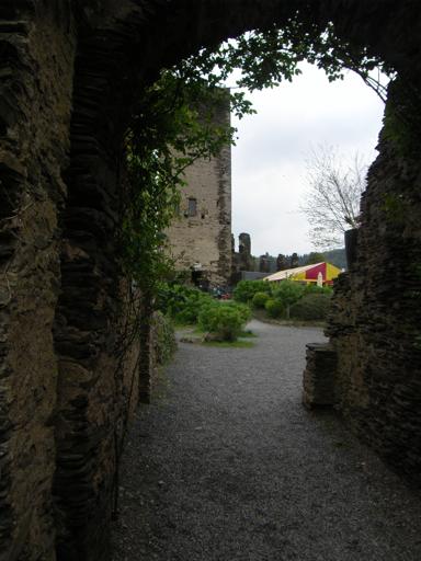 Rugosa, Burg Metternich