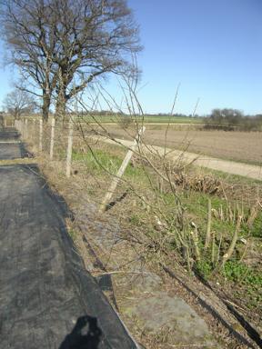 Zaunschaden