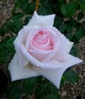 ‘Schloss Ippenburg’