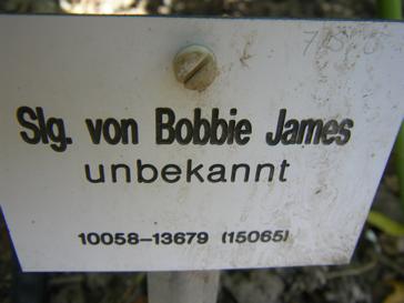 Schild: Slg. von ‘Bobby James’, Etikett