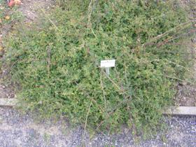 “Slg – Finnland”