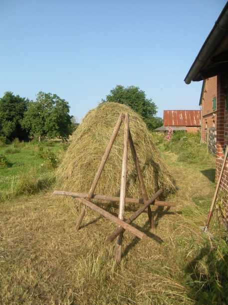 Heumanderl