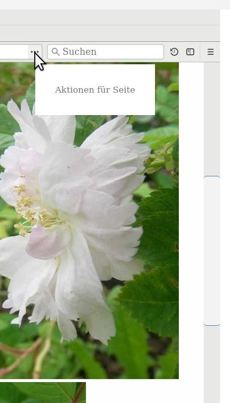 Firefox, tooltip, Scroll-Leiste