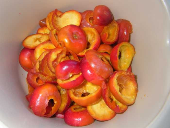 ‘Moje Hammarberg’