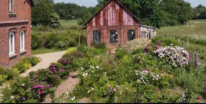 Ostseite Garten