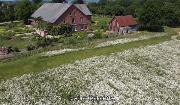 Ostseite Haus