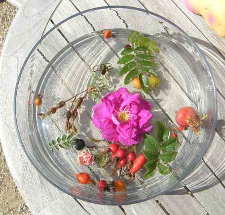 Glasschale mit Rosenfrüchten