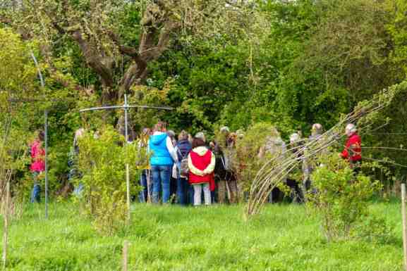 Kräutergruppe im Park geführt.