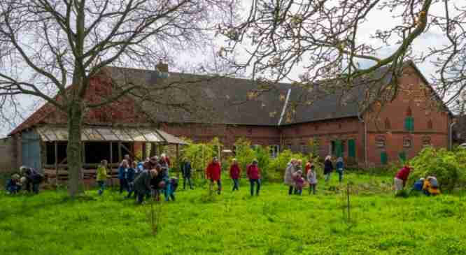 Kräutergruppe im Park vor Haus.