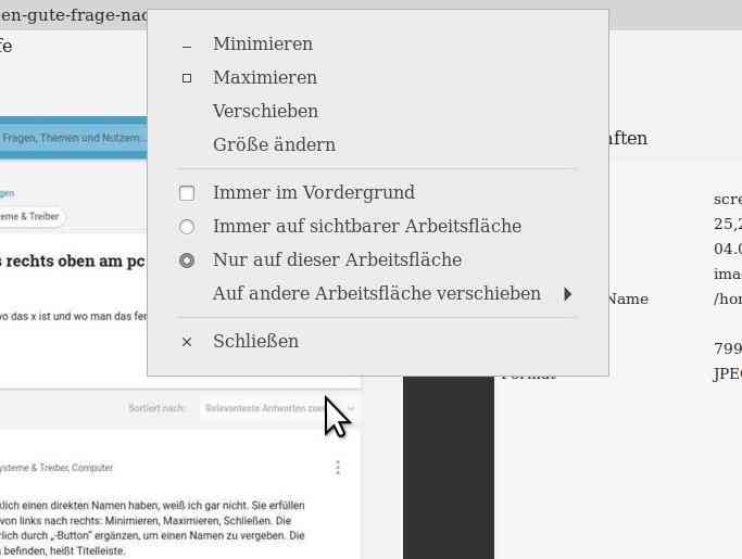 Titelleistenmenü Linux-Mint ohne Funktion Auf/Abrollen.